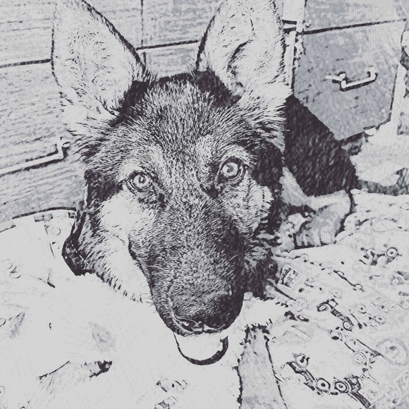 Meet your Posher, Victoria - Picture 13 of 16